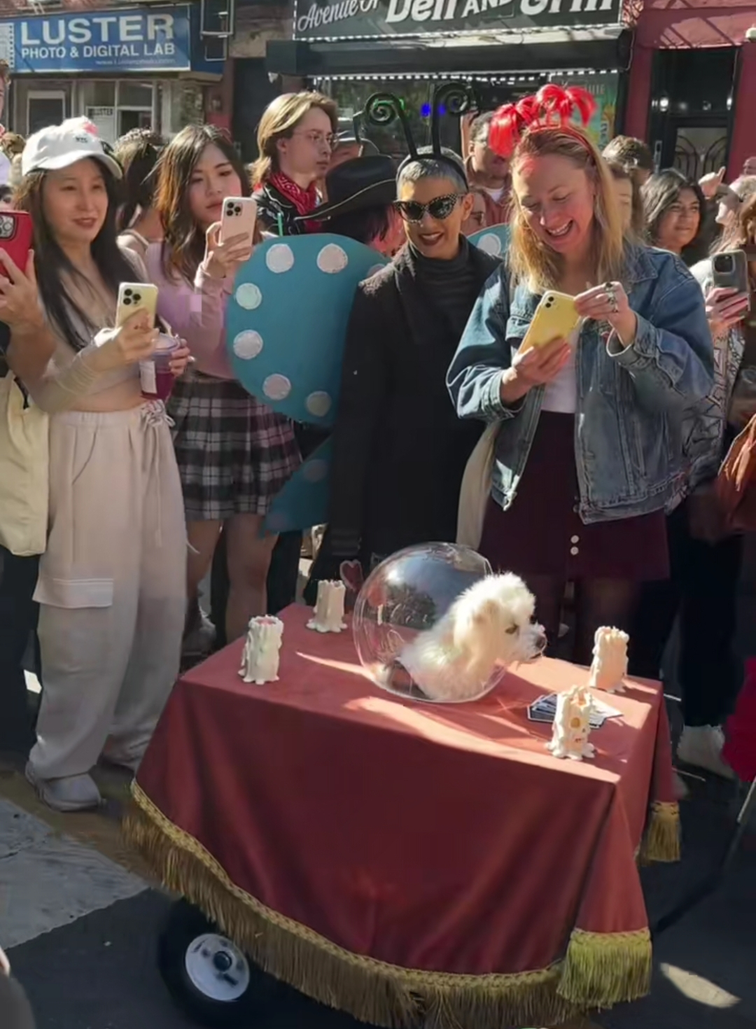 Спробуйте не засміятися. У Нью-Йорку провели парад собак в костюмах на Хелловін (фото)