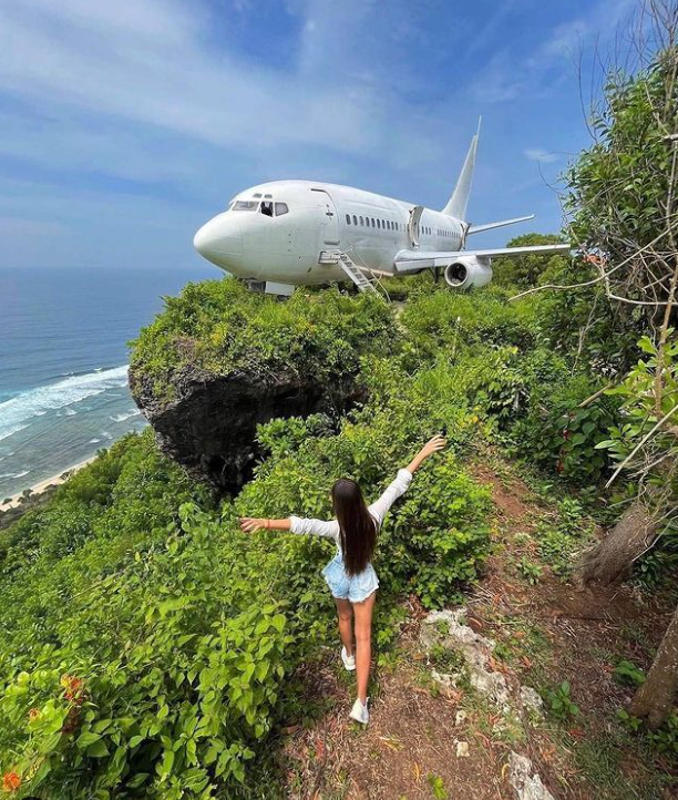 Boeing 737 перетворили у розкішну віллу, від одного погляду на яку перехоплює подих (фото)