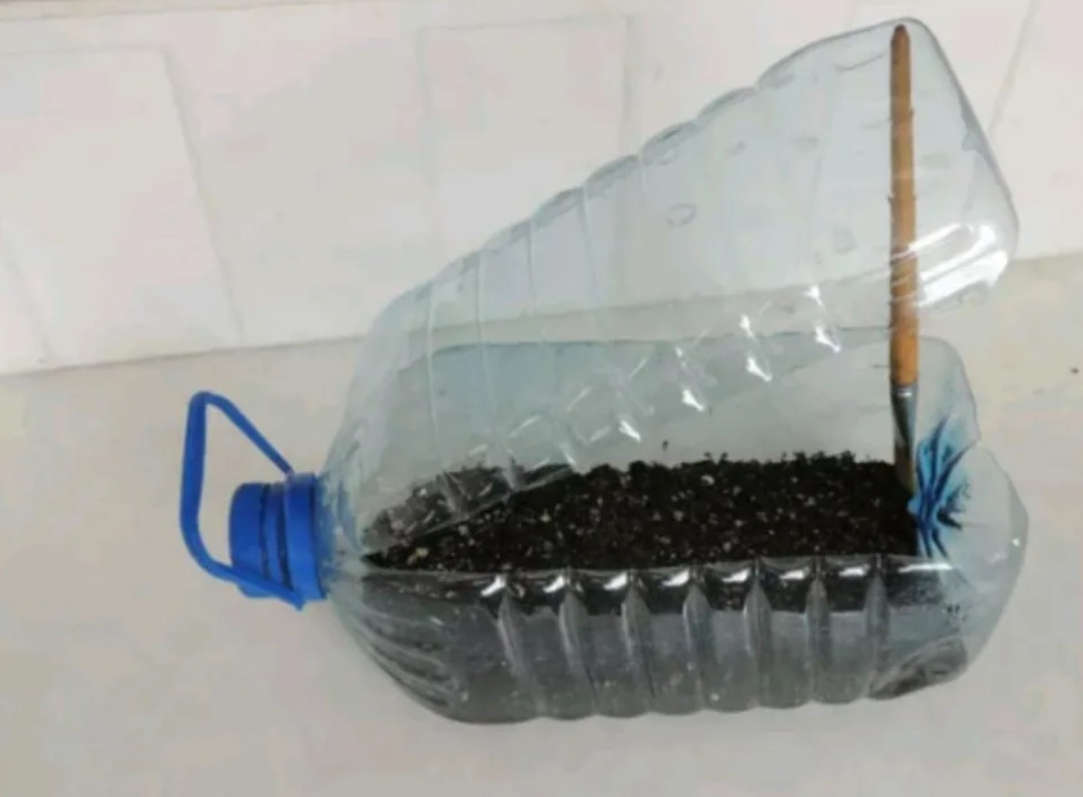 Безкоштовна міні-теплиця для розсади, яку зможе зробити будь-хто