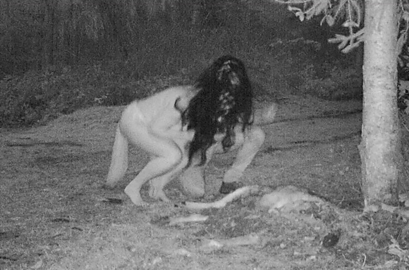 Жінка встановила камери спостереження в лісі і ледь не посивіла від побаченого (фото)