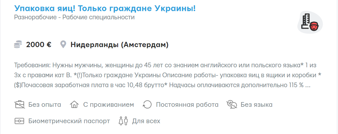 Від 2000 євро. На якій роботі в Нідерландах українці можуть заробляти без знання мови
