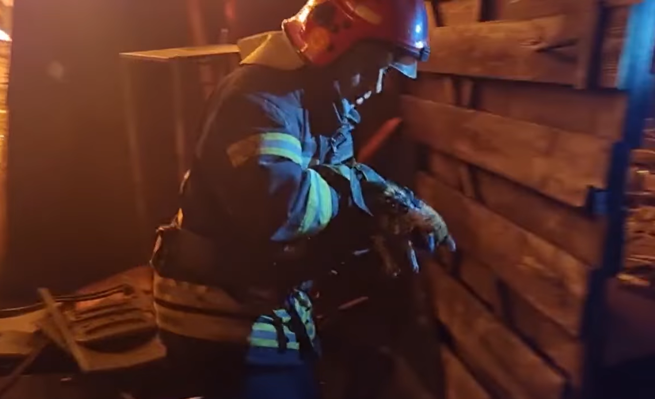 У Харкові врятували кошеня на палаючих руїнах готелю: вижив дивом після удару російської ракети