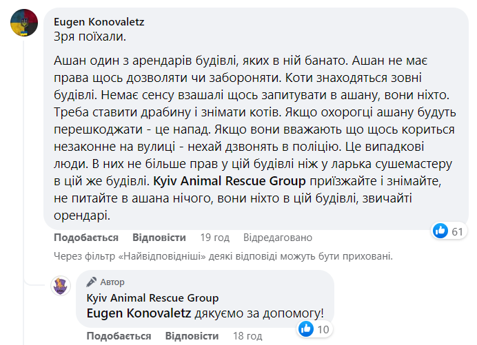У Києві врятували котиків на даху супермаркету, попри "небажання співробітників магазину"