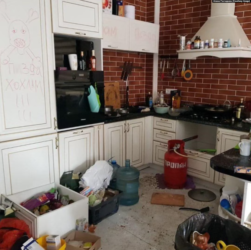 Пережив окупацію і російський полон, втік у Білорусі і повернувся в сім'ю: спливли деталі історії кота Макса з Бучі