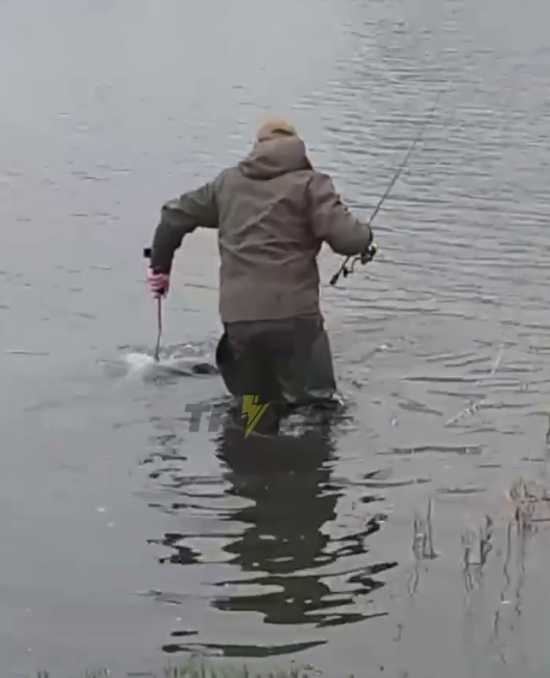 Возможно все: в Киеве в озере выловили рыбу-гиганта (видео)