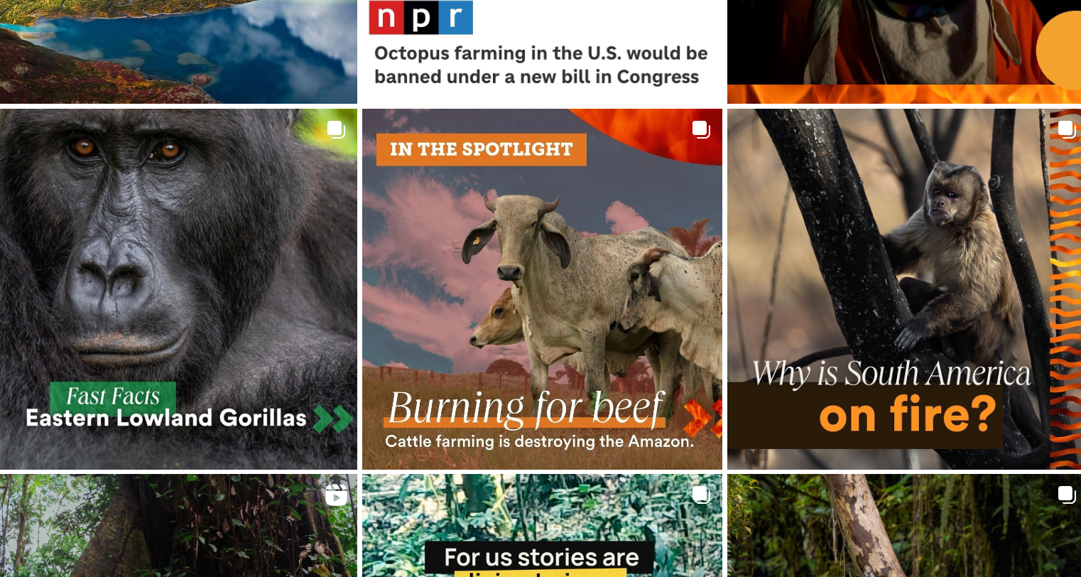 Як зараз виглядає Леонардо Ді Капріо - найвідоміший екоактивіст Голлівуду (фото)