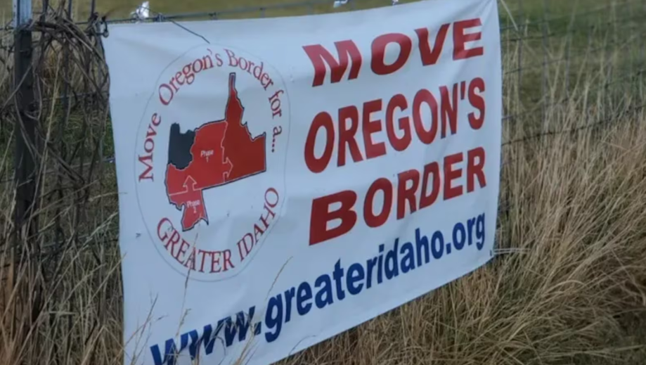 Від поразки Путіна до альянсу США та Китаю: "чорні лебеді" 2025 року за версією Politico