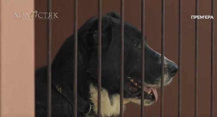 6 випуск "Холостяка": фаворитка Терена пішла зі скандалом, з іншою - попрощався сам