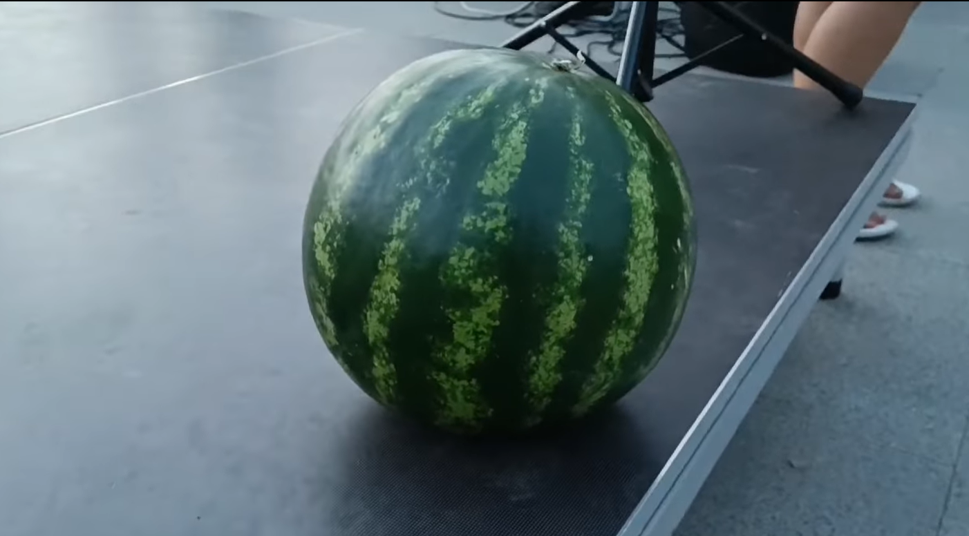 Херсонский арбуз продали на аукционе за 2 тысячи гривен. Деньги передадут ВСУ (видео)