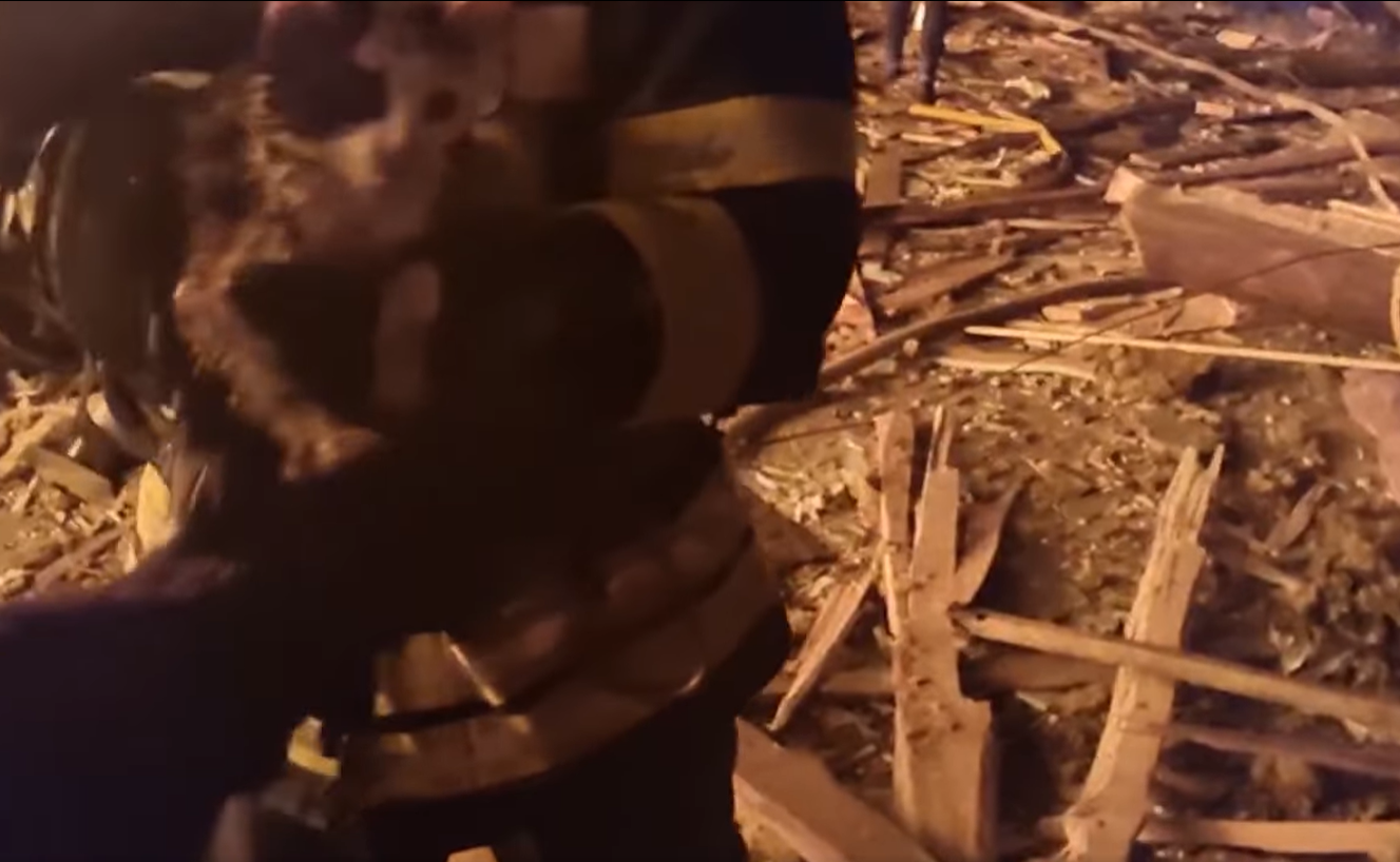 У Харкові врятували кошеня на палаючих руїнах готелю: вижив дивом після удару російської ракети