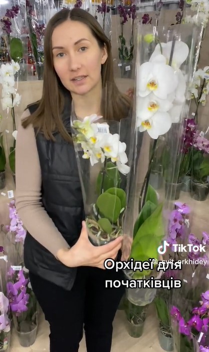 Какая орхидея самая простая в уходе, пышно цветет и не болеет (фото)