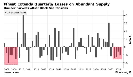 Ціни на пшеницю падають максимальними за 14 років темпами, попри війну в Чорному морі