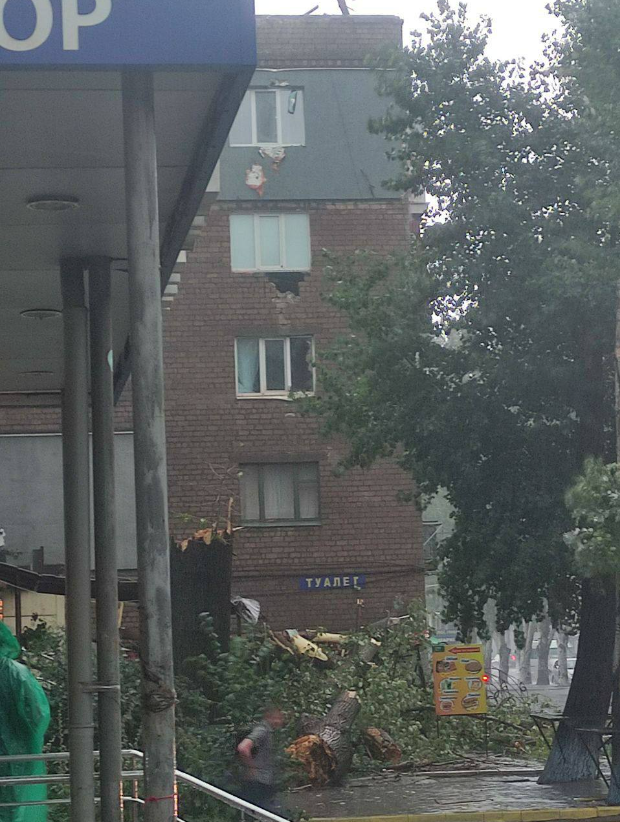 Разрушительный деревопад и реки на улицах: видео последствий ливня с ураганом в Кривом Роге