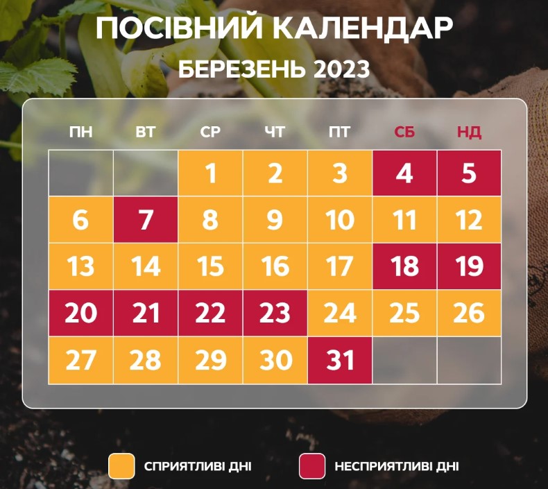 Посівний календар на березень 2023: коли суворо заборонено сіяти