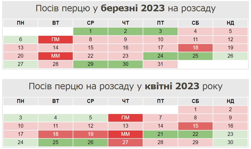Коли і як садити перець на розсаду, щоб мати ранній щедрий врожай