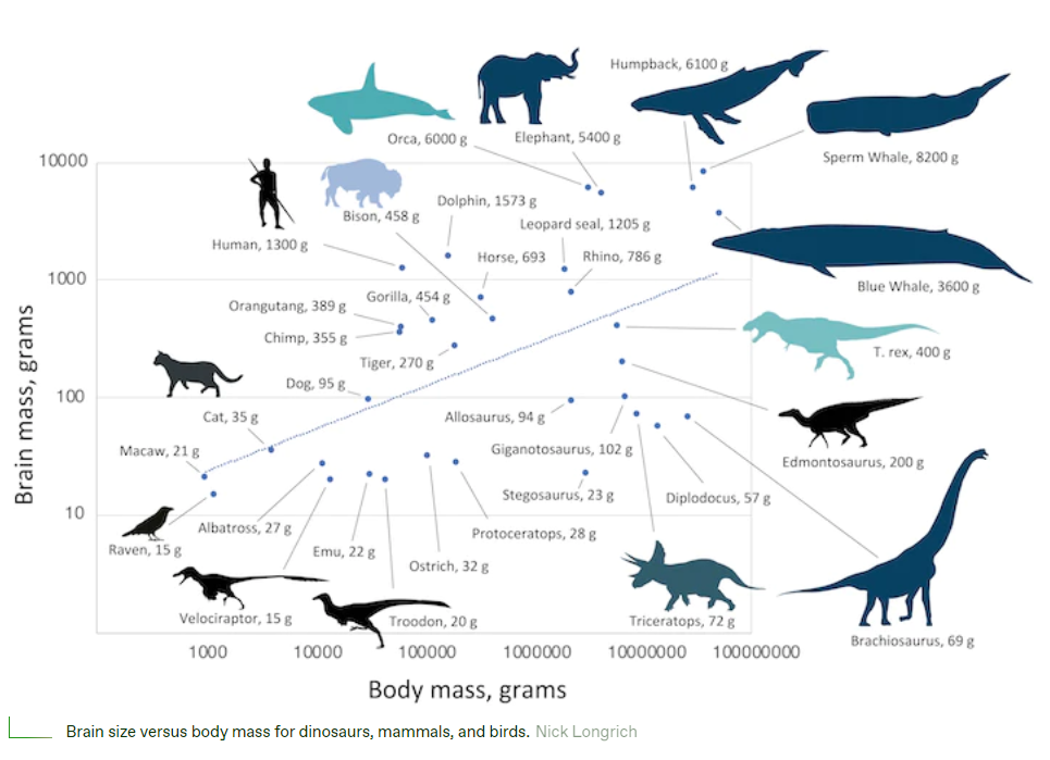Вот таким был бы мир, если бы динозавры выжили: исследование ученых