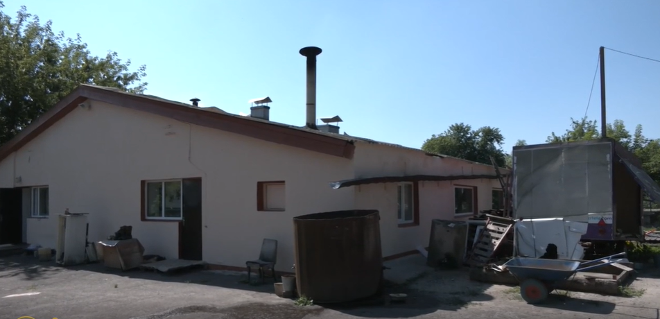 77-летняя зоозащитница спасла почти тысячу животных в Гостомеле во время оккупации