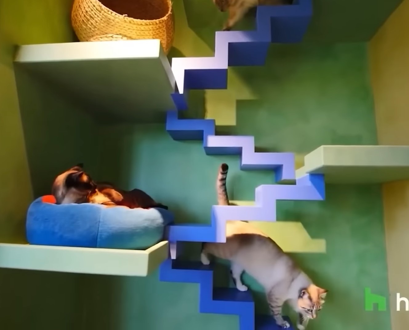 Найдивніші будинки у світі: ви будете вражені хатами, в яких живуть люди