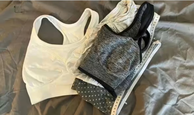 Кіт-клептоман грабує сусідів і приносить господарці дорогі речі (фото)