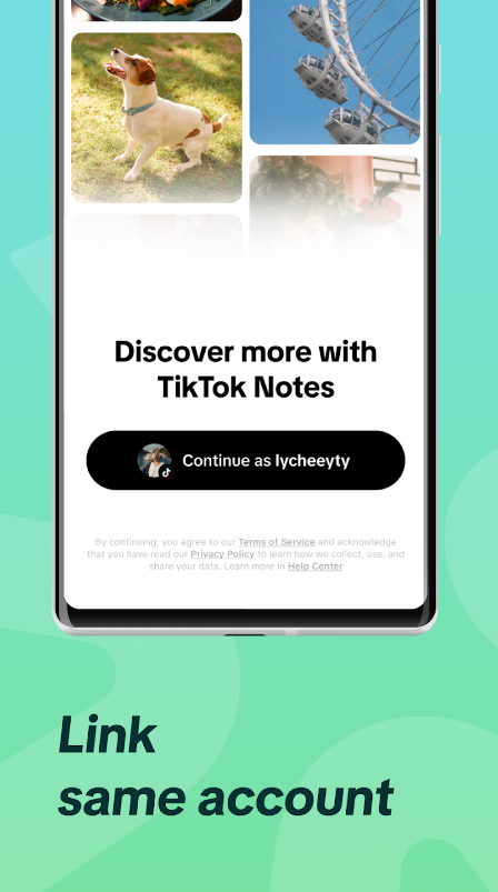 TikTok випустив свій аналог Instagram. Як виглядає TikTok Notes