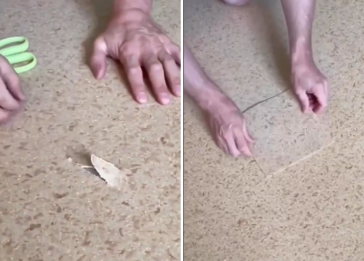 Как заклеить дыру в линолеуме, чтобы никто ничего не заметил