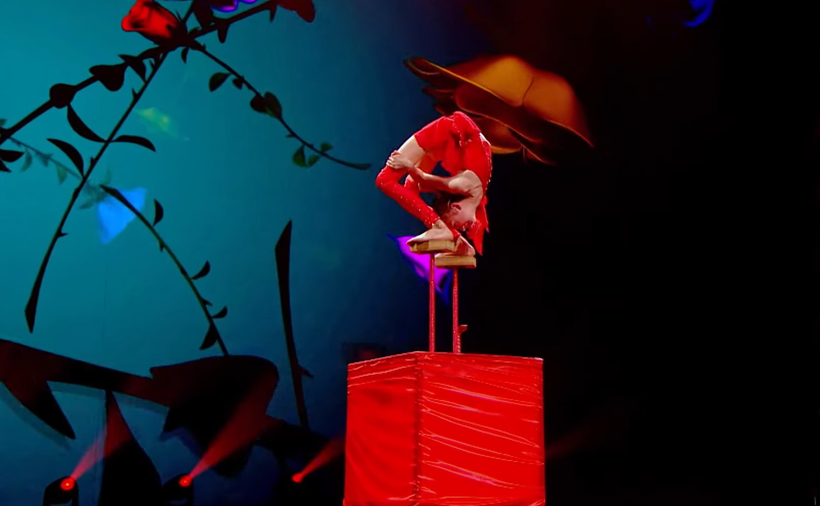 11-летняя украинка с редким диагнозом установила мировой рекорд: никто не мог побить 70 лет!