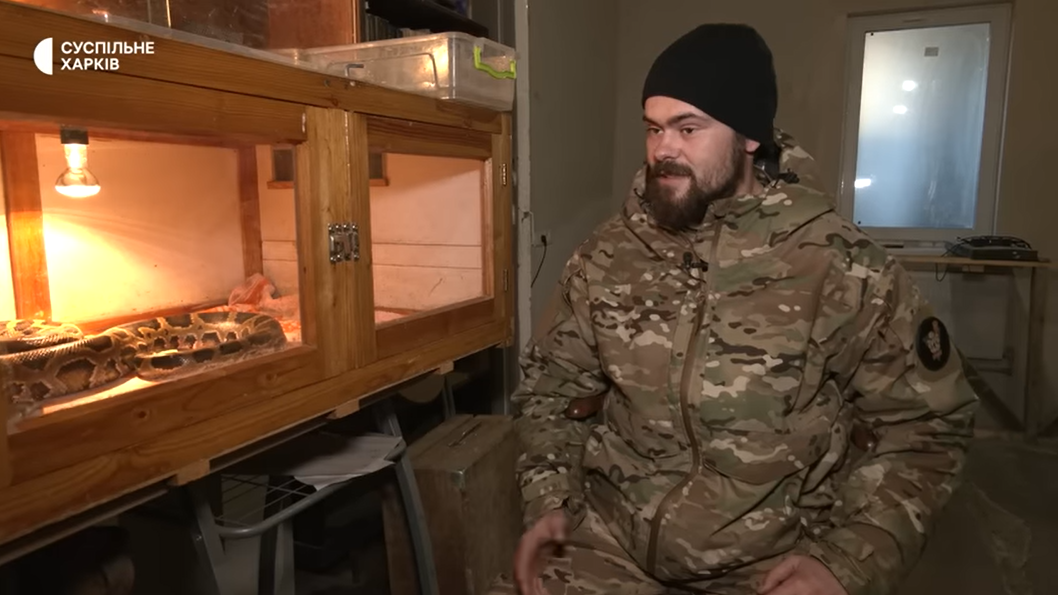 Боєць ЗСУ врятував триметрового пітона з підбитого російського танка (відео і фото)