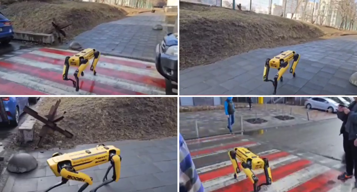У Києві помітили робота-пса Spot: розгулював вулицею, розминався у сквері (відео)