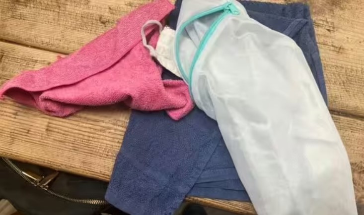 Кіт-клептоман грабує сусідів і приносить господарці дорогі речі (фото)