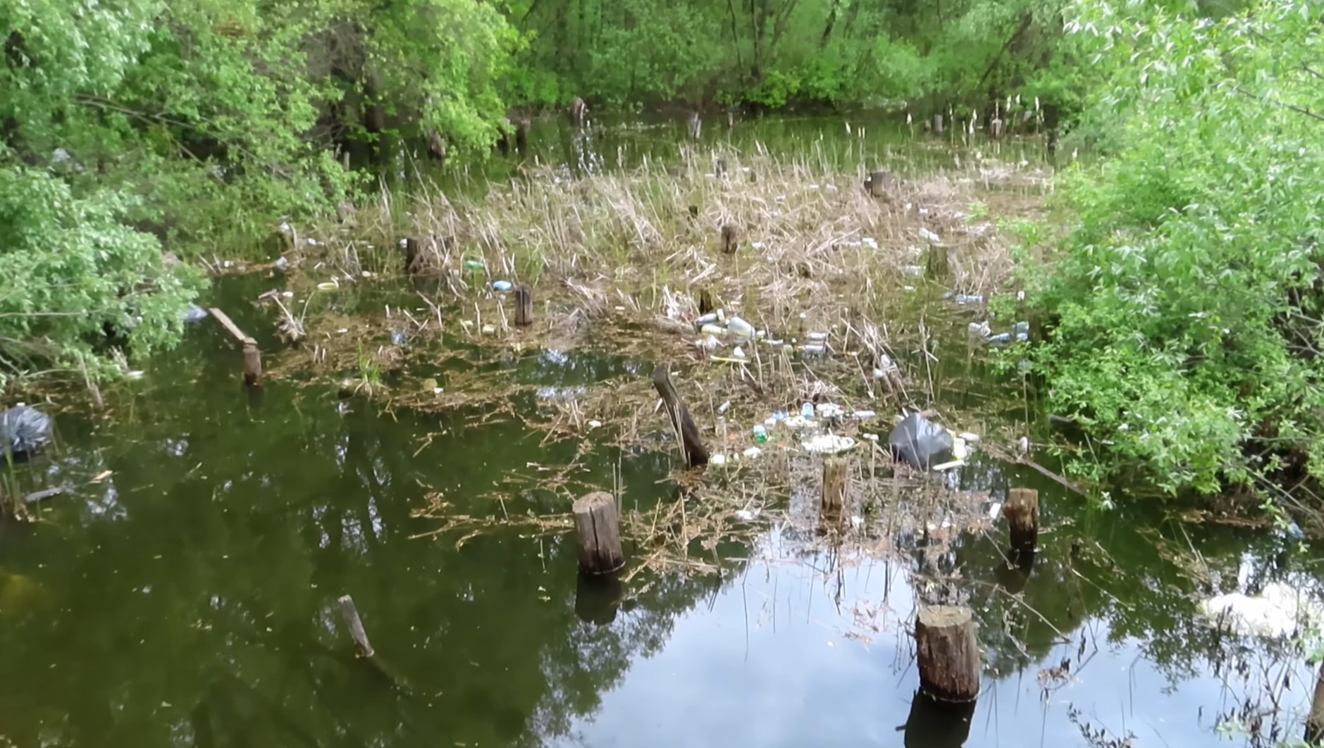 Дивіться, як виглядає одне з найбрудніших озер Києва: пляшки, сморід і будсміття