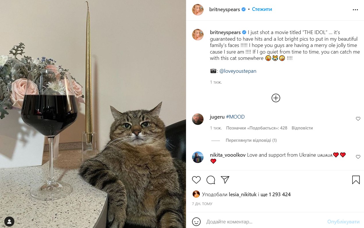 Пенсионер, подобранный на улице: как на самом деле живет самый знаменитый украинский кот Степан