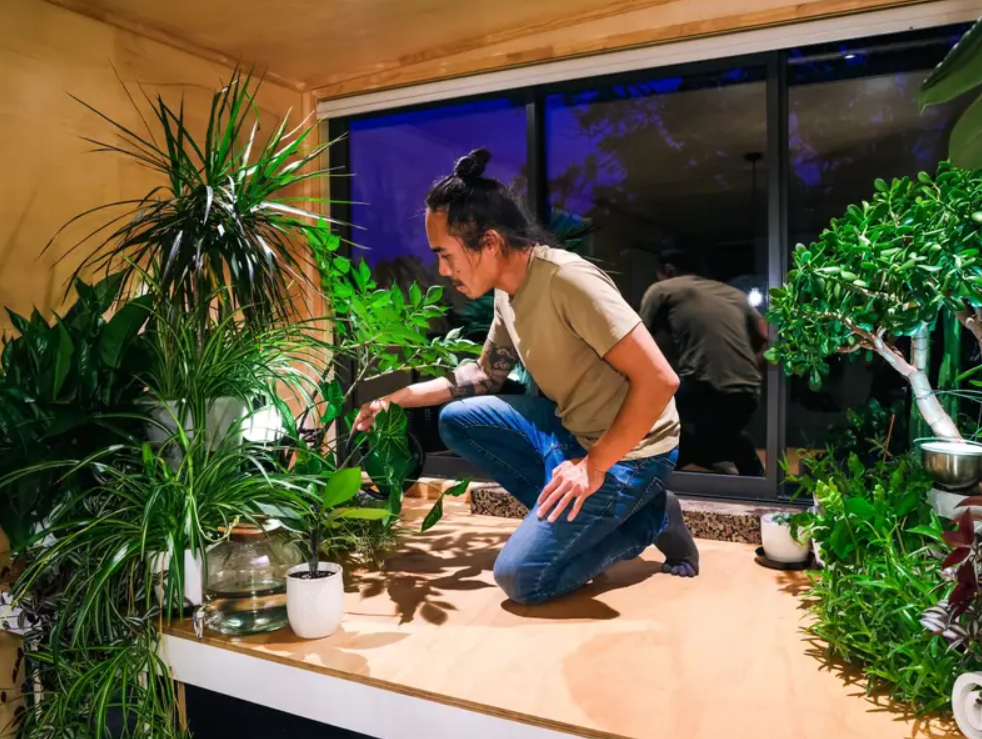 Чоловік перетворив контейнери на шикарний будиночок. Дивіться, як він виглядає (фото)