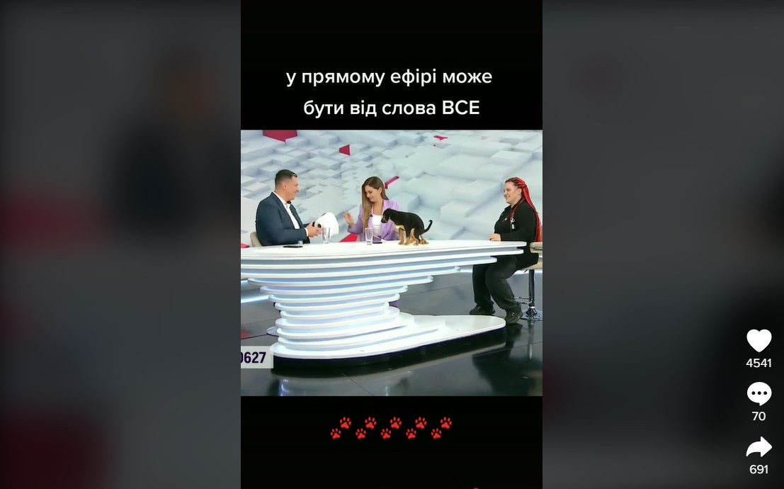 Ляпи в телемарафоні "Єдині новини" підривають мережу: дивіться відео 18+