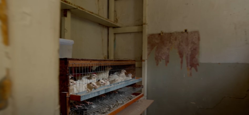 "Полтавський палій" Віталій Чепурко показав, як живе зараз, і зробив заяву про Путіна (відео)