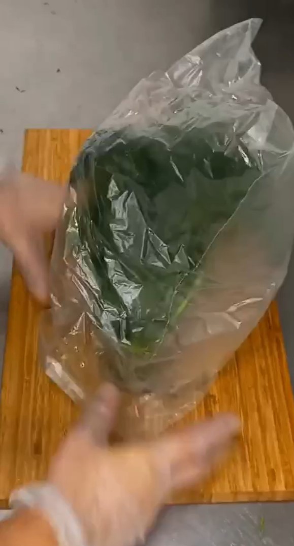 Как сохранить зелень свежей 5-7 дней и даже месяц: суперпростые способы