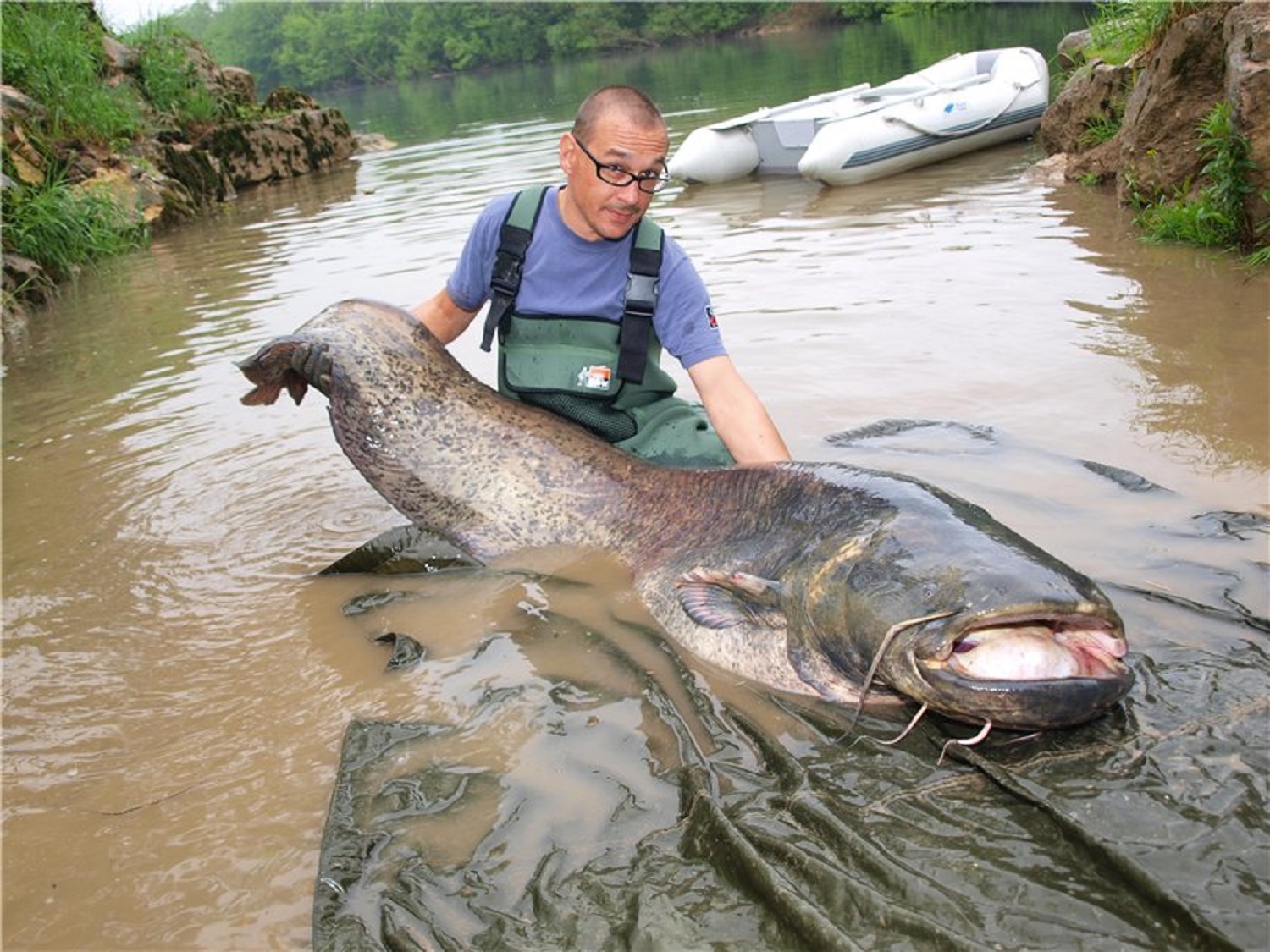 Як спіймати 5 найбільших риб у річках України