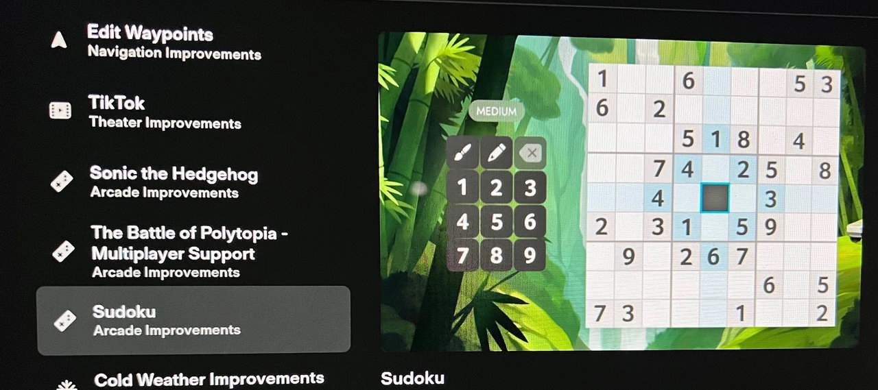 Подарунок на різдво: в мультимедіа Tesla з'явилася підтримка TikTok