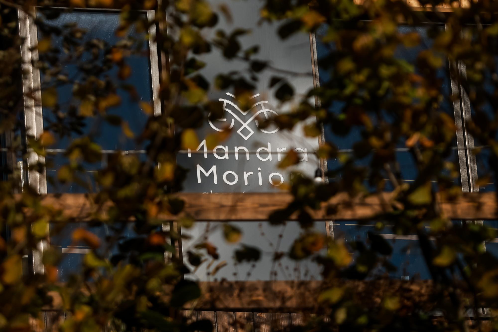 Краса гір та комфорт: де відпочити та що подивитися у Микуличині