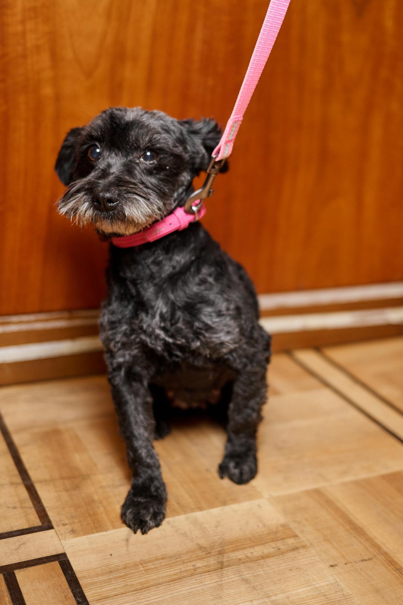 Українські зірки на червоній доріжці розчулили несподіваним жестом (фото)