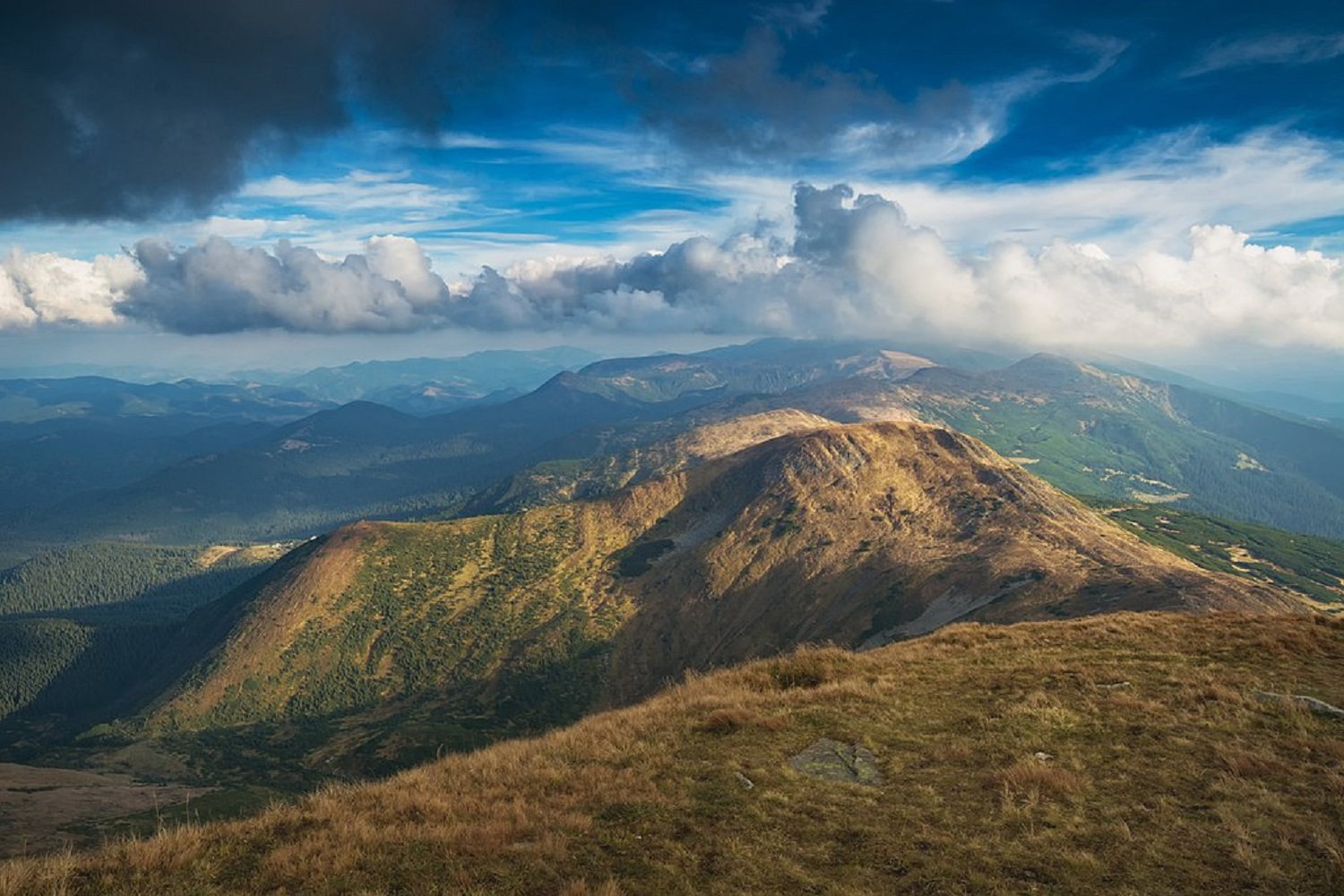 7 найкращих місць у Карпатах, які вас точно не розчарують влітку 2025 року
