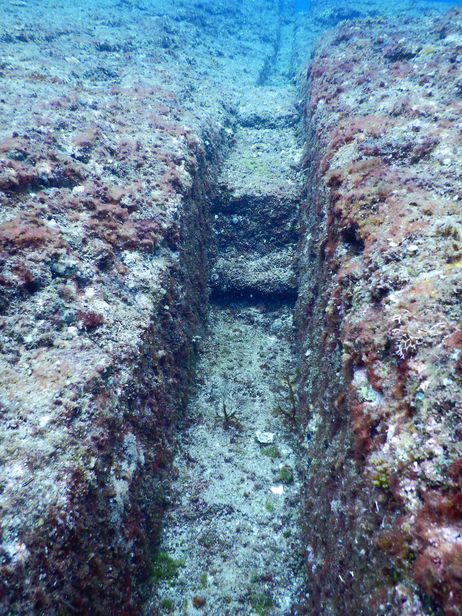 Велика підводна таємниця планети: що приховує "японська Атлантида"  Йонаґуні