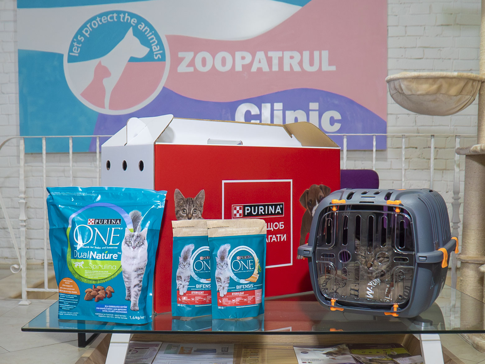 Рядом, чтобы помогать: Purina® и "Зоопатруль" объединились для спасения животных