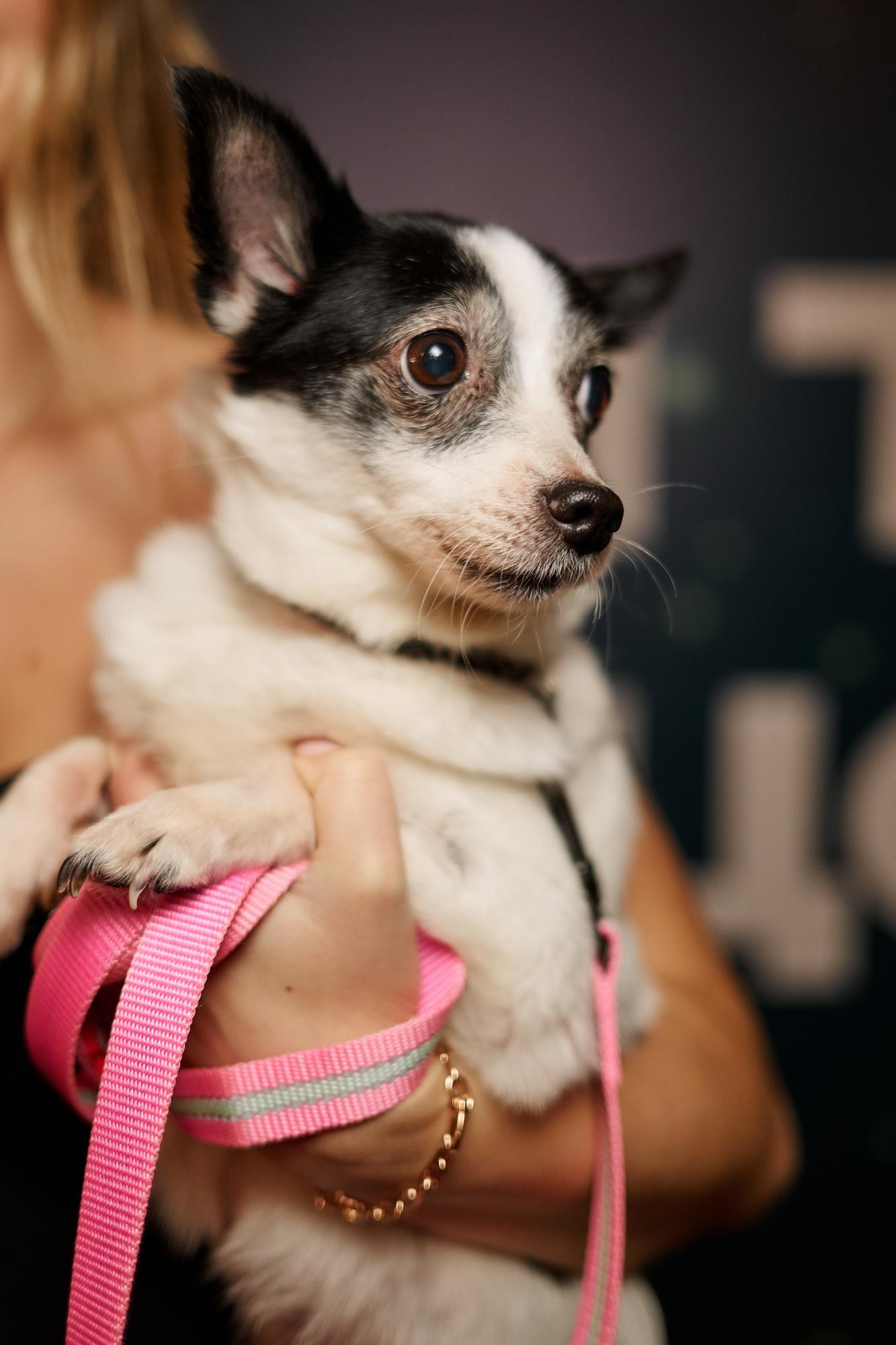 Українські зірки на червоній доріжці розчулили несподіваним жестом (фото)