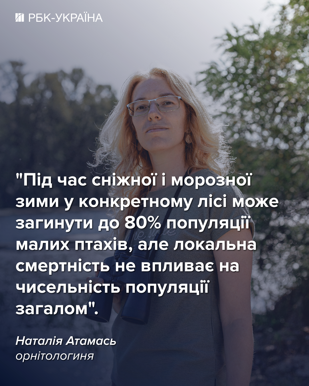 Погибло до 80% популяции: какие птицы больше всего пострадали от морозов в Украине