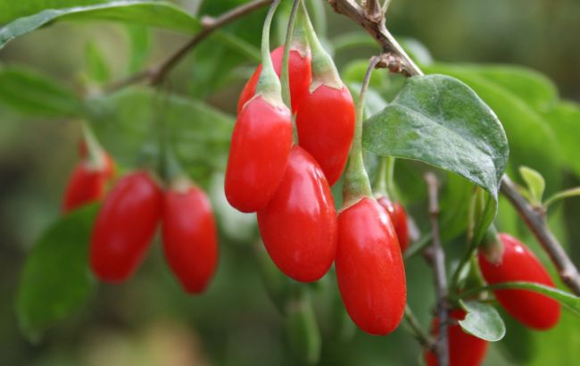 Ефективність не доведена. Ось список продуктів, користь яких переоцінена