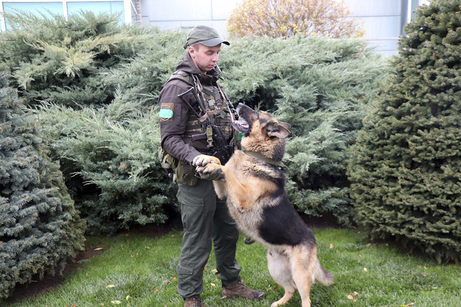 Чотирилапий нацгвардієць отримав медаль: що відомо