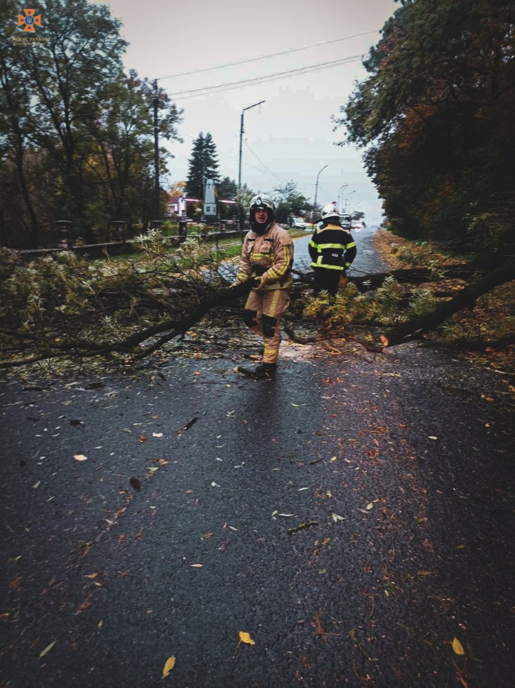 Жертвы, деревопад и отключения света: что известно о последствиях шторма в Украине
