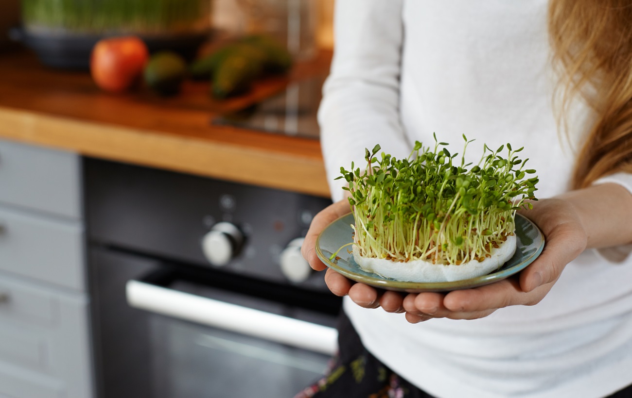 Урожай на подоконнике: 5 овощей, которые вы легко сможете выращивать даже в квартире