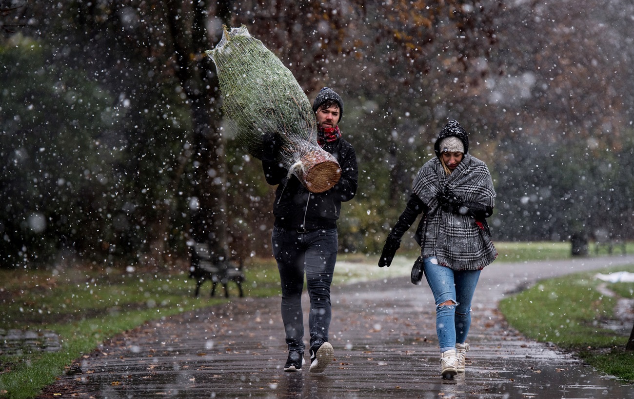 Когда ставить елку? Названа "счастливая" дата и это точно не 1 декабря
