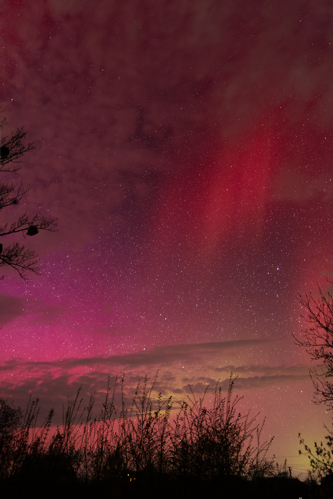 Украинцы наблюдали необычное полярное сияние: красочные фото странных аврор